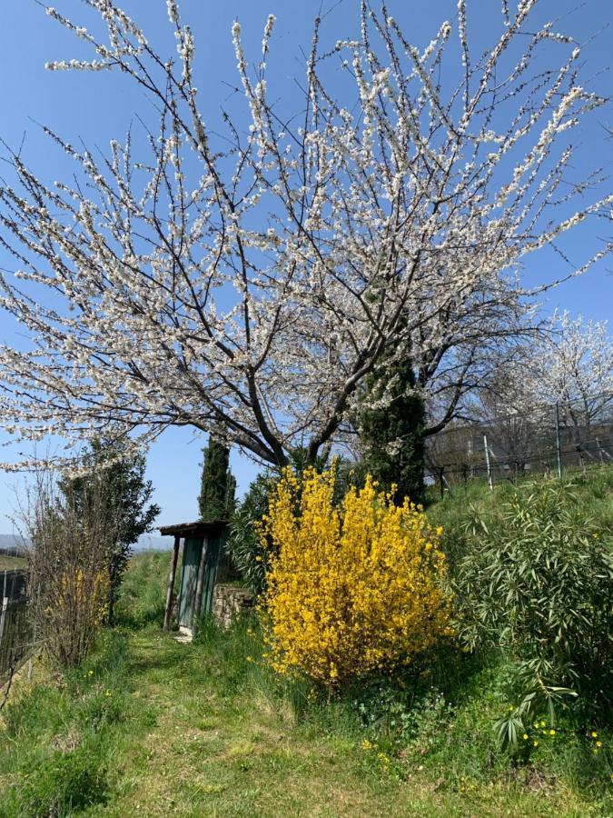 Appartamento Tiemi Coldrerio Dış mekan fotoğraf