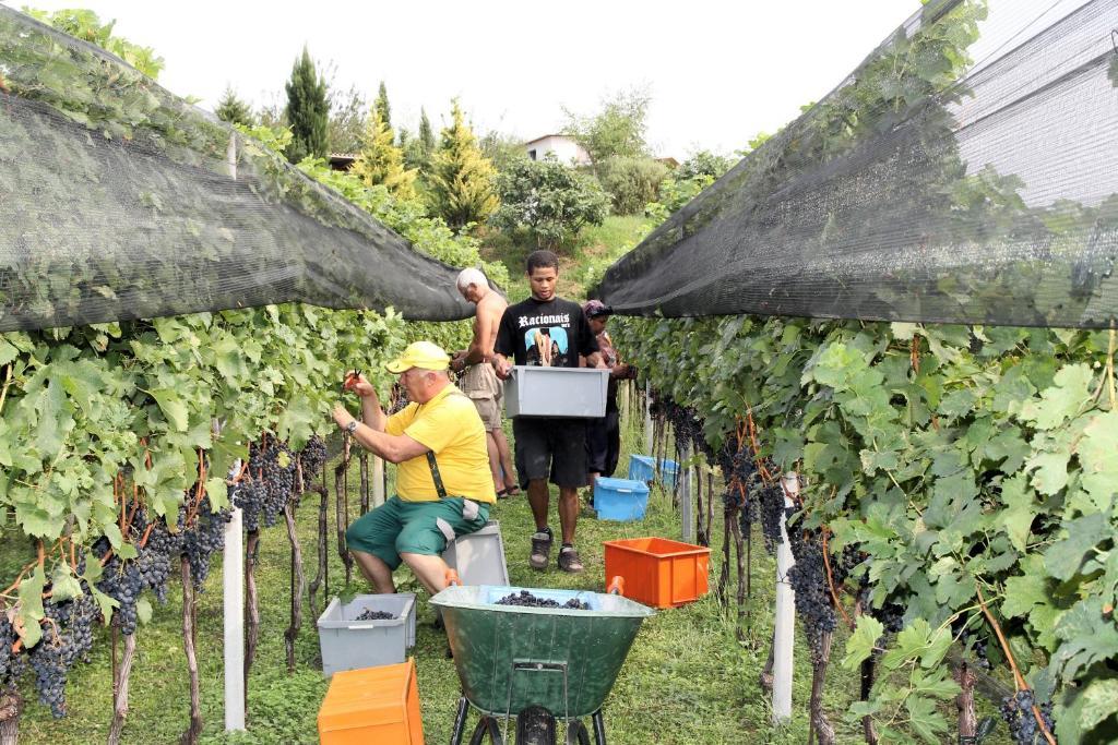 Appartamento Tiemi Coldrerio Dış mekan fotoğraf